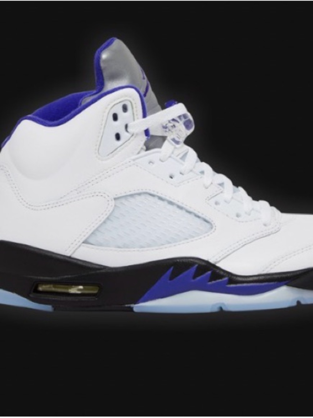 NIB Air Jordan 5 Retro 'Concord'